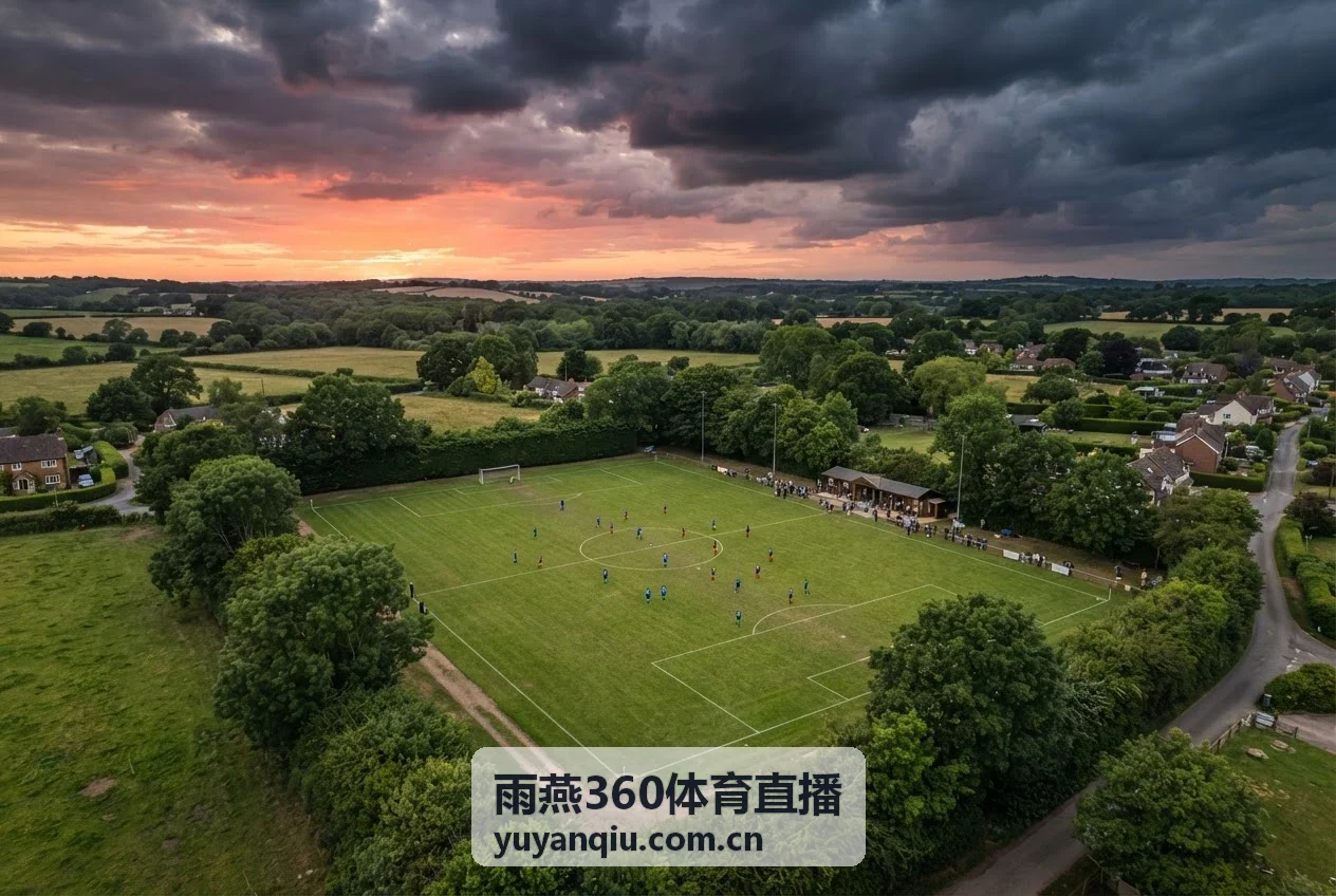 雨燕360体育直播精彩录像回放